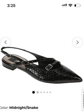 Dolce Vita Pamla Flat in Midnight Snake l Black Embossed Pointed Slingback